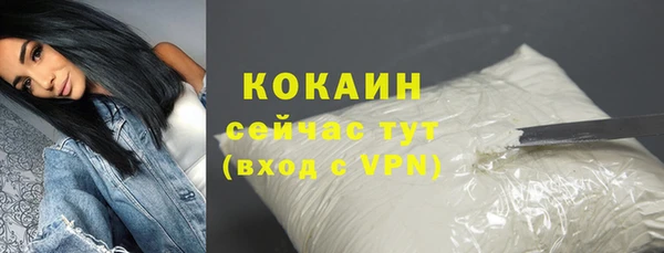 стаф Абинск