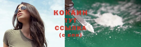 стаф Абинск