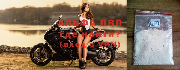 стаф Абинск