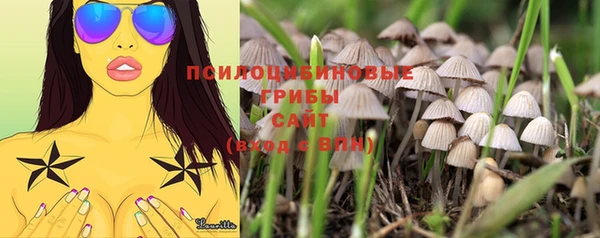 стаф Абинск