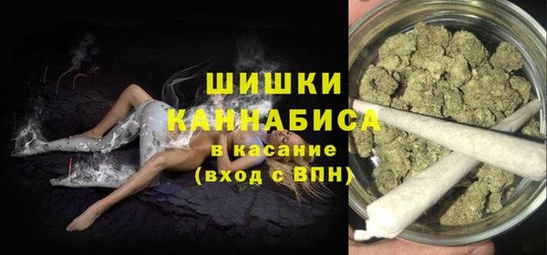 стаф Абинск