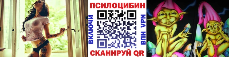 купить наркоту Болотное Псилоцибиновые грибы ЛСД